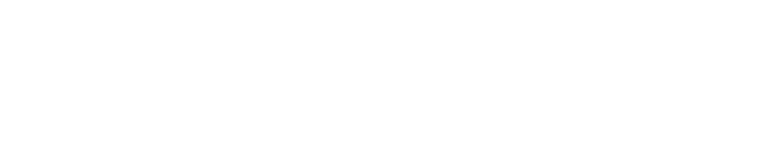 PGI-Logo-lite